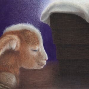 Linda's Pet Portraits