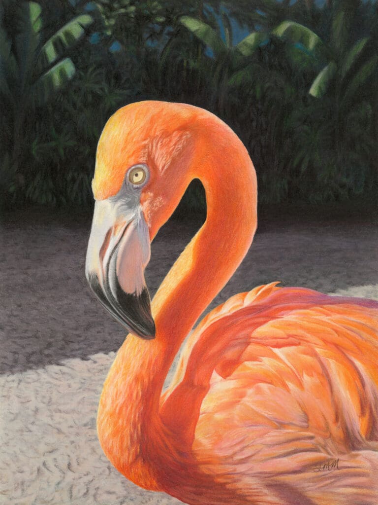 Linda's Pet Portraits