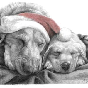 Linda's Pet Portraits