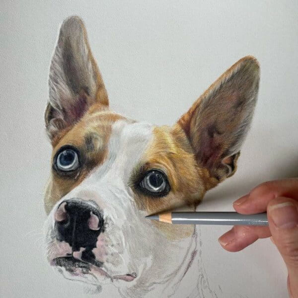 A person is painting a dog with a brush