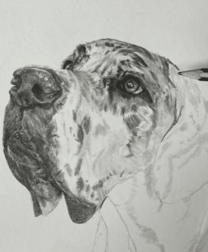 A dog with a pencil in its mouth